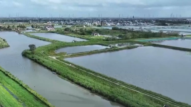 阳澄湖大闸蟹被台风“吹”跑了？记者实地探访插图1