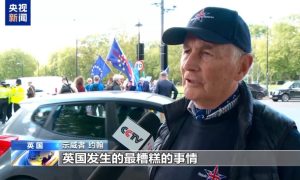 脱欧是个”巨大错误” 英民众游行要求重新加入欧盟缩略图