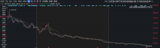 信达澳亚冯明远旗下基金亏损52%，曾高位大举押注璞泰来插图14