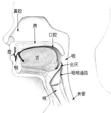 一个睡眠小习惯 可能会损害心脏和血管 快看你有没有插图1