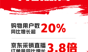 京东双11购物人数增长超20%！AI手机、游戏CPU成交额猛增超100%缩略图