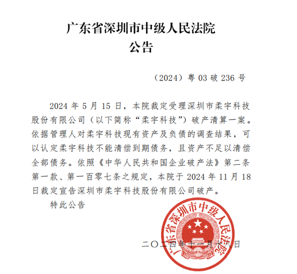 深圳中院裁定：柔宇科技破产插图1