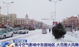 强冷空气影响中东部地区 大范围大风降温缩略图