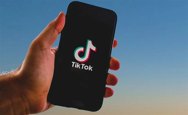 加拿大政府下令关闭字节跳动子公司业务 TikTok：将向法庭起诉插图