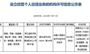 国内第三张个人征信牌照获批！花落蚂蚁集团持股公司缩略图