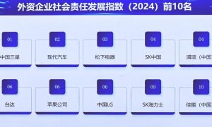 2024企业社会责任蓝皮书发布，中国三星蝉联十二年外企榜首缩略图