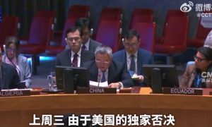 中方代表：美独家否决加沙停火使安理会陷于瘫痪缩略图