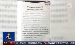 以激活电子医保卡为由骗上万村民个人信息32人获刑缩略图