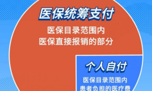 医保统筹支付,个人自付,个人自费分不清？一文看懂缩略图