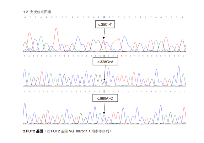 海南发现“恐龙血” 比“熊猫血”还罕见！插图1