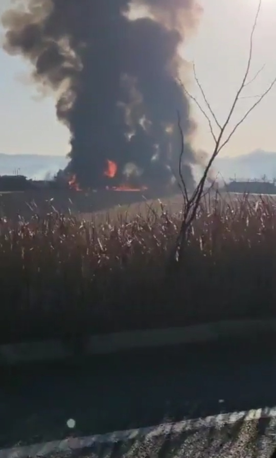 韩国客机撞墙起火事故已致28人死亡 客机疑似撞鸟插图1