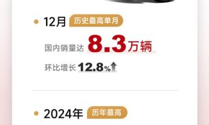 特斯拉2024全年交付超178.9万辆 国内销量超65.7万辆缩略图