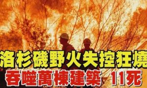 日月谭天丨岛内从洛杉矶大火看到了什么？缩略图